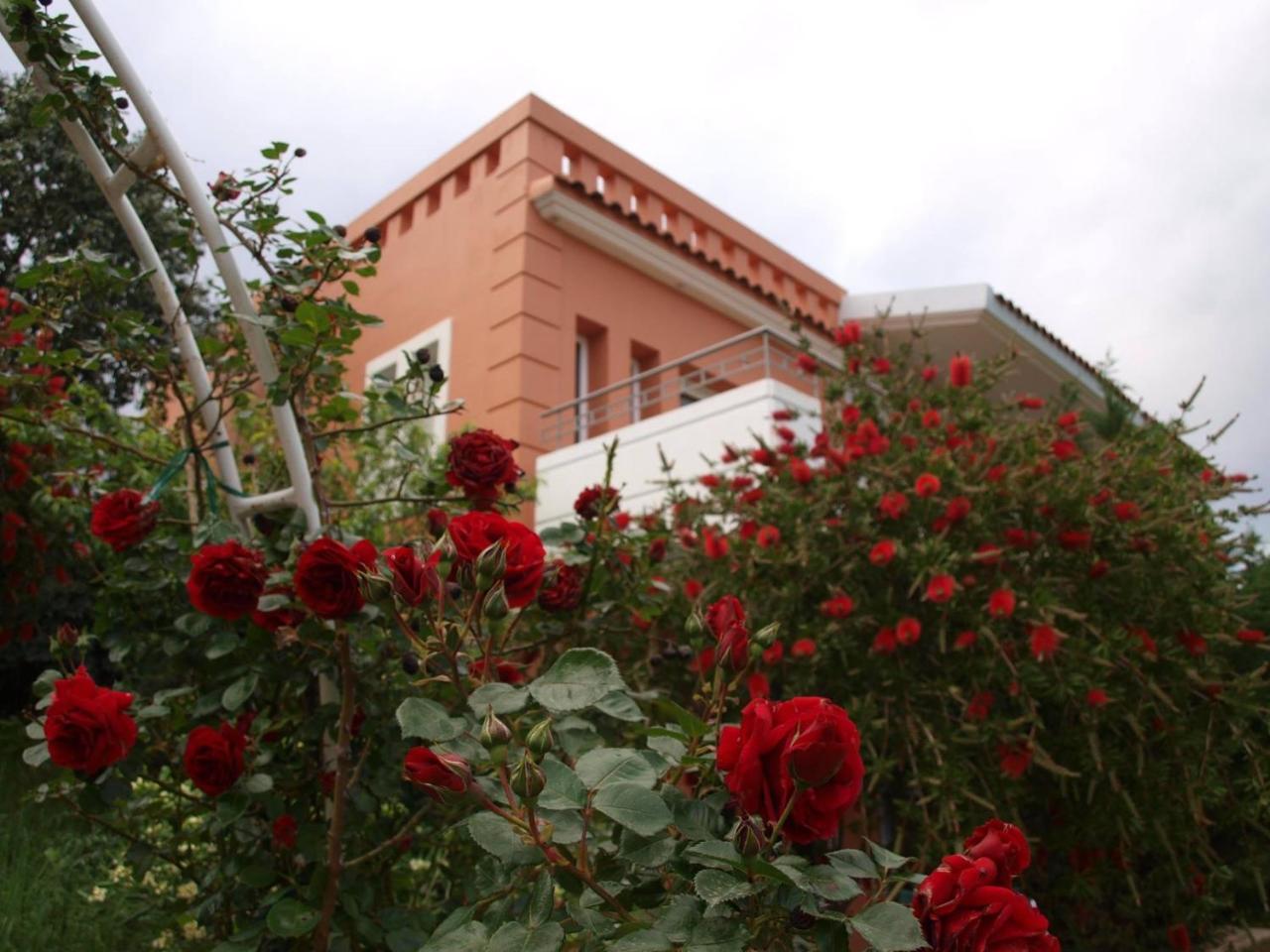 Thalassa Hotel & Spa Palairos Экстерьер фото