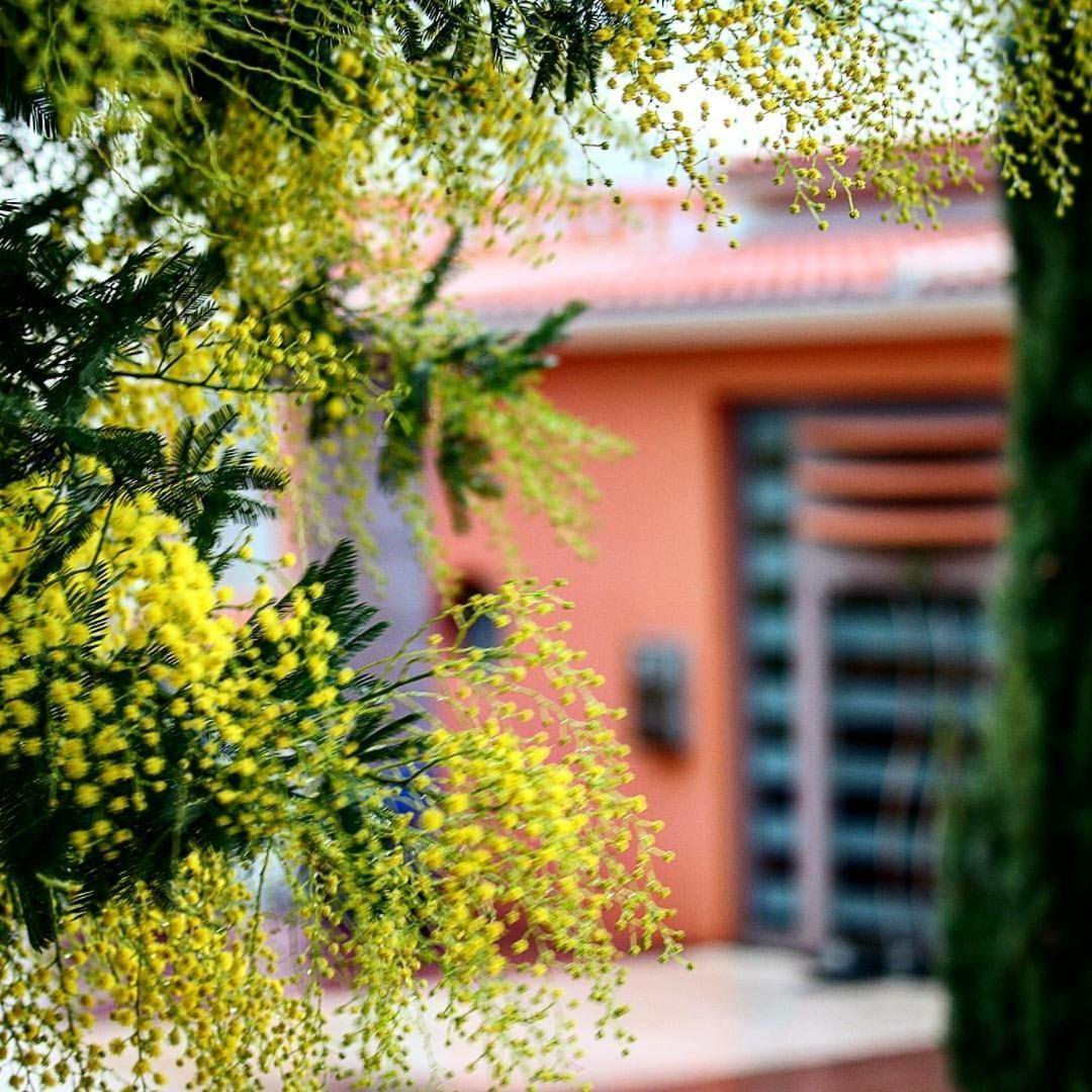 Thalassa Hotel & Spa Palairos Экстерьер фото